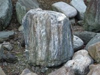 三波石（群馬県産：自然石）