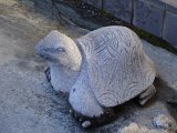 画像: 亀（御影石）